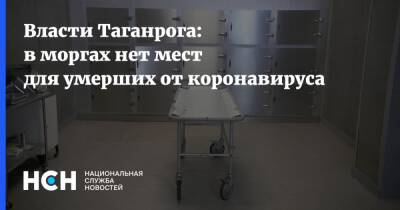Власти Таганрога: в моргах нет мест для умерших от коронавируса - nsn.fm