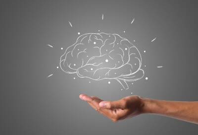 Ученые обнаружили способность мозга запоминать определенную информацию - online47.ru
