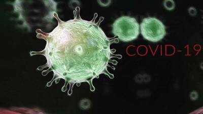 В Южной Африке обнаружен новый штамм коронавируса - news-front.info - Юар