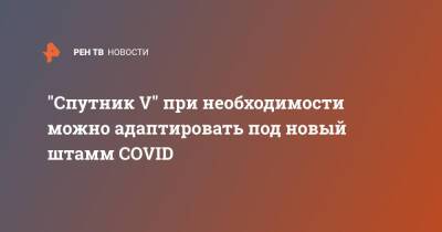 "Спутник V" при необходимости можно адаптировать под новый штамм COVID - ren.tv - Россия - Юар