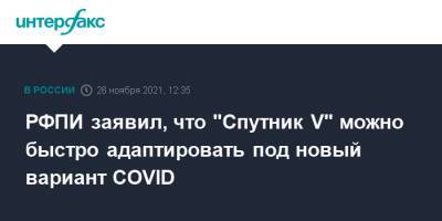 Кирилл Дмитриев - РФПИ заявил, что "Спутник V" можно быстро адаптировать под новый вариант COVID - interfax.ru - Россия - Москва - Юар