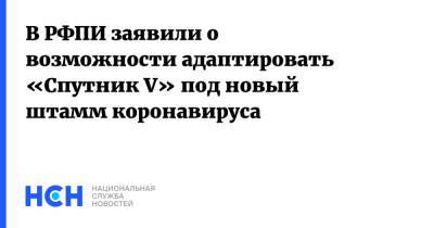 Кирилл Дмитриев - В РФПИ заявили о возможности адаптировать «Спутник V» под новый штамм коронавируса - nsn.fm - Россия