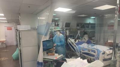 Коронавирус в Израиле: сводка минздрава на утро 26 ноября - vesty.co.il - Израиль - Минздрав