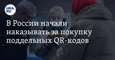 В России начали наказывать за покупку поддельных QR-кодов - ura.news - Россия - Волгоград