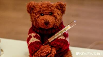 В Калмыкии у детей выявили гонконгский грипп - newdaynews.ru - республика Калмыкия