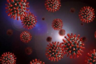 Петр Чумаков - Биолог объяснил опасность нового штамма коронавируса, выявленного в ЮАР - versia.ru - Россия - Юар