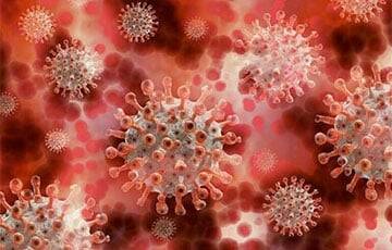 Чем опасен новый штамм коронавируса B.1.1.529 и как быстро он распространится по миру? - charter97.org - Белоруссия - Израиль - Гонконг - Ботсвана - провинция Гаутенг