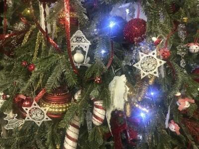 Составлен список запретных для переболевших ковидом подарков на Новый год - rosbalt.ru