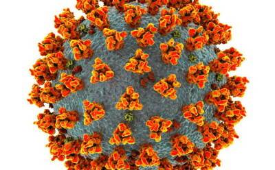 Обнаружен новый штамм коронавируса: министр здравоохранения говорит о «великой угрозе» - germania.one - Англия - Германия - Израиль - Юар