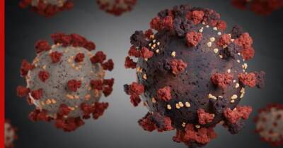 Франк Ванденбрук - Новый штамм коронавируса впервые выявили в Европе - profile.ru - Бельгия