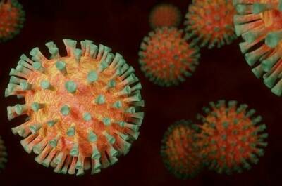 Франк Ванденбрук - В Европе выявили первый случай заражения новым штаммом коронавируса - pnp.ru - Бельгия - Юар - Ботсвана