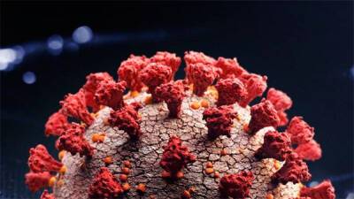 «Ужасающая мутация». Чем опасен новый вариант коронавируса B.1.1.529 и как быстро он распространится по миру? - bin.ua - Украина - Израиль - Гонконг - Ботсвана - провинция Гаутенг