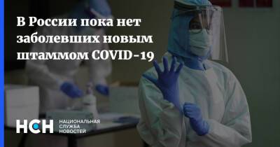 Камиль Хафизов - В России пока нет заболевших новым штаммом COVID-19 - nsn.fm - Россия