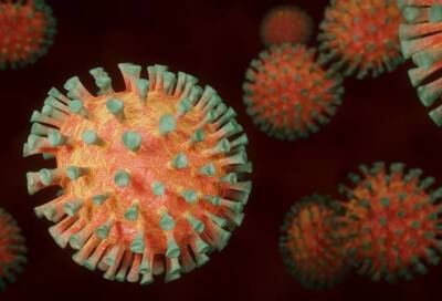 ВОЗ назвала новый штамм коронавируса из ЮАР греческой буквой Омикрон - online47.ru - Россия - Израиль - Юар
