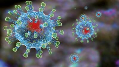 Новый штамм коронавируса из Южной Африки назван греческой буквой Omicron - newdaynews.ru - Юар