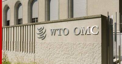Генсовет ВТО решил перенести министерскую конференцию из-за нового штамма COVID - profile.ru - Женева - Швейцария - Юар