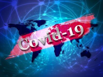Франк Ванденбрук - В Европе выявлено первое заражение новым опасным штаммом коронавируса из Африки - newsland.com - Бельгия