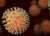ВОЗ вынесла вердикт новому штамму коронавируса «Омикрон» - udf.by - Швейцария - Юар