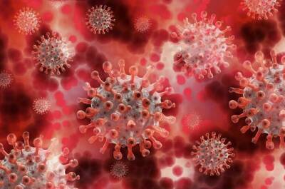 Александр Чепурнов - Вирусолог оценил опасность нового штамма коронавируса «омикрон» - pnp.ru - Израиль - Гонконг - Юар