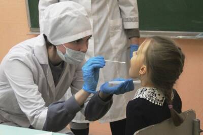 Департамент образования: тестирование школьников на коронавирус будет выборочным и исключительно добровольным - kostroma.mk.ru - Кострома