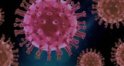 Учёные из Израиля выявили способность радиоволн уничтожить 99% коронавируса за две секунды - argumenti.ru - Израиль