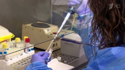 Сразу в нескольких странах Европы выявили первые случаи нового штамма коронавируса - 1tv.ru - Амстердам - Юар - Йоханнесбург - Кейптаун