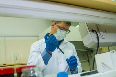 Израильские ученые нашли способ уничтожения коронавируса за две секунды - aif.ru - Израиль - Jerusalem