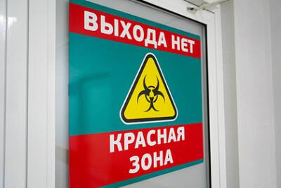Противница вакцинации рассказала о посещении красной зоны в Москве - lenta.ru - Москва
