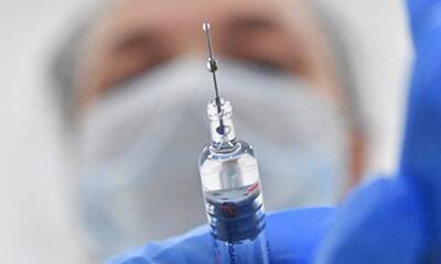 Врач раскрыл механизм действия вакцины на иммунитет - bloknot.ru