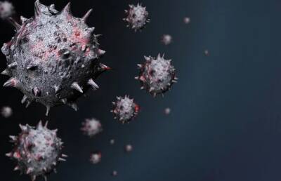 Анжелик Кутзе - Врач из ЮАР назвала симптомы заражения омикрон-штаммом коронавируса - ont.by - Белоруссия - Юар