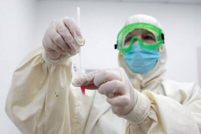 Новый штамм коронавируса «омикрон» уже есть в России – сенатор Круглый - chita.ru - Россия - Англия - Египет - Ботсвана