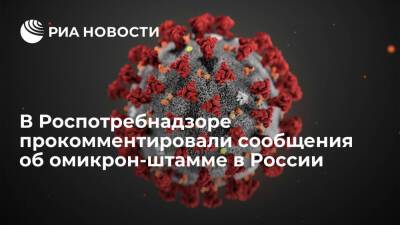 Эксперт Роспотребнадзора: в России нет омикрон-штамма коронавируса - ria.ru - Россия
