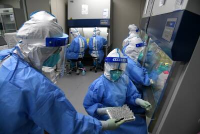 В Африке обнаружили новый штамм коронавируса – ВОЗ - inform.zp.ua - Украина