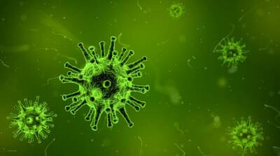 Штамм коронавируса омикрон подтвердили во Франции и Швейцарии - ru.slovoidilo.ua - Франция - Украина - Швейцария - Юар