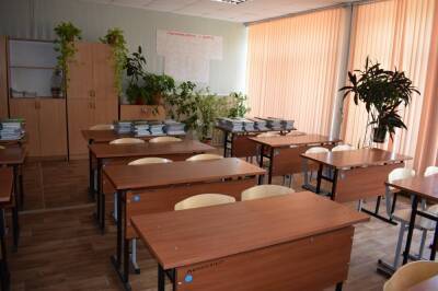 Почти тысяча липецких учеников перешла на дистанционку - lipetskmedia.ru