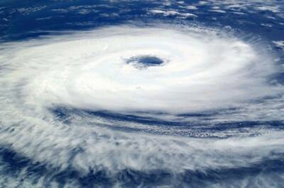 Картина дня в Хабкрае: новый циклон и возможный локдаун - hab.aif.ru - Хабаровский край