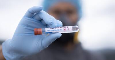Сирил Рамафос - ЮАР пока не будет ужесточать карантин из-за нового штамма коронавируса - dsnews.ua - Юар