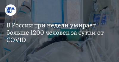 В России три недели умирает больше 1200 человек за сутки от COVID - ura.news - Россия