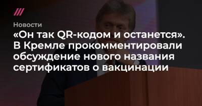 «Он так QR-кодом и останется». В Кремле прокомментировали обсуждение нового названия сертификатов о вакцинации - tvrain.ru