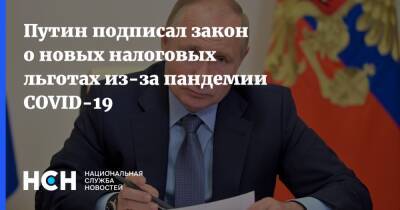 Владимир Путин - Путин подписал закон о новых налоговых льготах из-за пандемии COVID-19 - nsn.fm