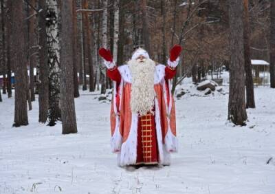 Въезд на Вотчину Деда Мороза стал возможен только для индивидуальных туристов - власти - interfax-russia.ru - Вологда