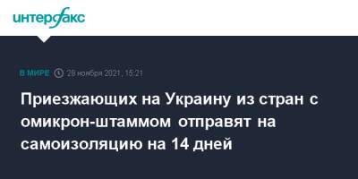 Приезжающих на Украину из стран с омикрон-штаммом отправят на самоизоляцию на 14 дней - interfax.ru - Москва - Украина