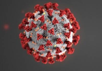 Эпидемиолог оценил заразность “Омикрон”-штамма коронавируса - unn.com.ua - Украина - Киев - Юар