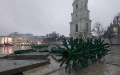 В Киеве начали устанавливать главную елку страны - korrespondent.net - Украина - Киев