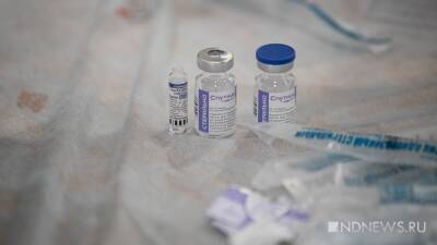 В России началась разработка модификации вакцины против штамма COVID-19 –«омикрон» - newdaynews.ru - Россия