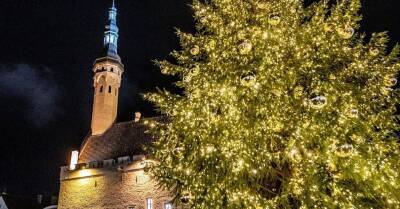 ФОТО. На Ратушной площади Таллина заработал рождественский рынок и зажглась новогодняя елка - rus.delfi.lv - Эстония - Латвия