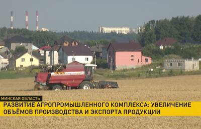 Ситуация в АПК: перед депутатами и сенаторами ответ держало правительство - ont.by - Белоруссия