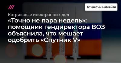 «Точно не пара недель»: помощник гендиректора ВОЗ объяснила, что мешает одобрить «Спутник V» - tvrain.ru