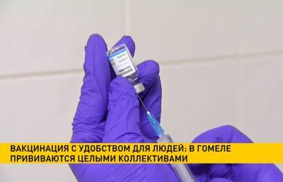 Почти 38% жителей Гомельской области получили первую дозу вакцины от коронавируса - ont.by - Белоруссия - Гомельская обл.