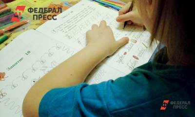 Курганские школьники могут уйти на дистант - fedpress.ru - Курганская обл.